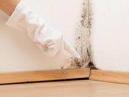 Best Mold Prevention Services  in North Fair Oaks, CA